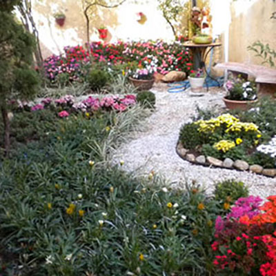 Landscaping The Aligned Space